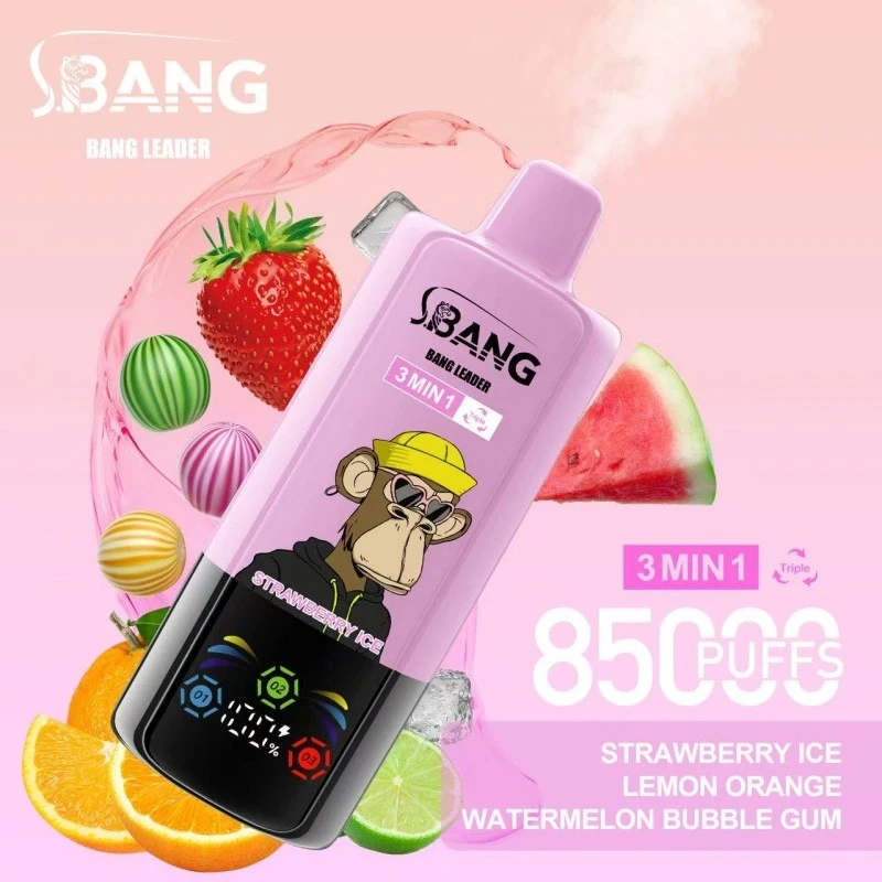 bang leader 85000 puffs